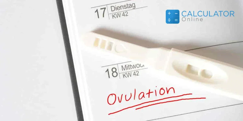 Simple Methods Of Detecting Upcoming Ovulation